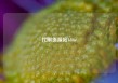 代刷货源站1dior