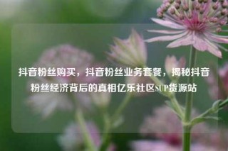 抖音粉丝购买，抖音粉丝业务套餐，揭秘抖音粉丝经济背后的真相亿乐社区SUP货源站