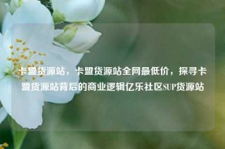 卡盟货源站，卡盟货源站全网最低价，探寻卡盟货源站背后的商业逻辑亿乐社区SUP货源站
