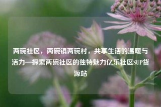 两碗社区，两碗镇两碗村，共享生活的温暖与活力—探索两碗社区的独特魅力亿乐社区SUP货源站