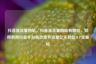 抖音涨流量网站，抖音涨流量网站有哪些，如何利用抖音平台高效提升流量亿乐社区SUP货源站
