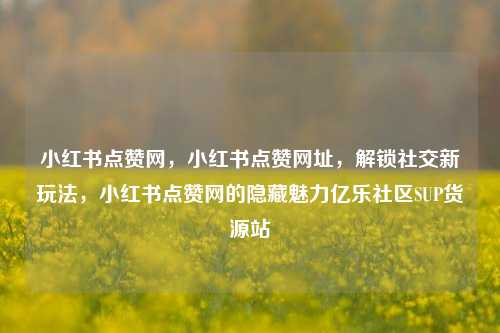 小红书点赞网	，小红书点赞网址，解锁社交新玩法，小红书点赞网的隐藏魅力亿乐社区SUP货源站  第1张