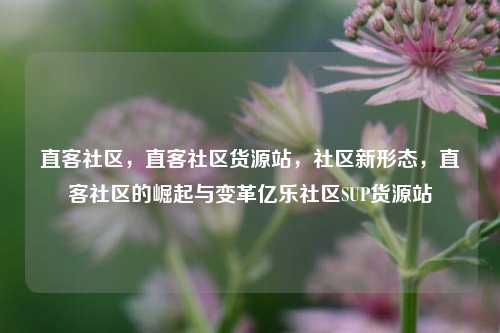 直客社区，直客社区货源站，社区新形态	，直客社区的崛起与变革亿乐社区SUP货源站  第1张