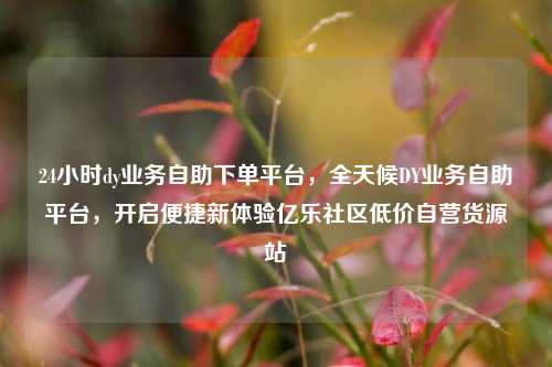 24小时dy业务自助下单平台，全天候DY业务自助平台，开启便捷新体验亿乐社区低价自营货源站  第1张