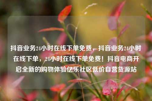 抖音业务24小时在线下单免费，抖音业务24小时在线下单，24小时在线下单免费！抖音电商开启全新的购物体验亿乐社区低价自营货源站  第1张