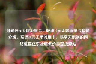 联通19元无限流量卡，联通19元无限流量卡套餐介绍，联通19元无限流量卡，畅享无限制的网络盛宴亿乐社区低价自营货源站