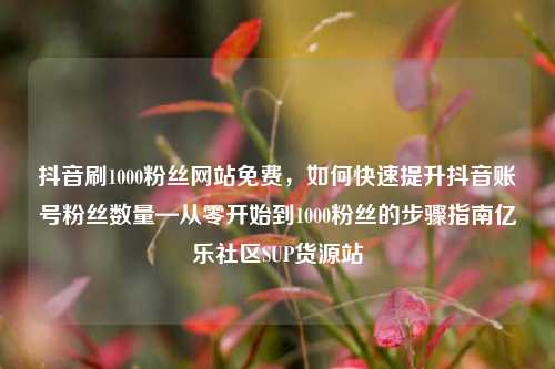 抖音刷1000粉丝网站免费	，如何快速提升抖音账号粉丝数量—从零开始到1000粉丝的步骤指南亿乐社区SUP货源站  第1张