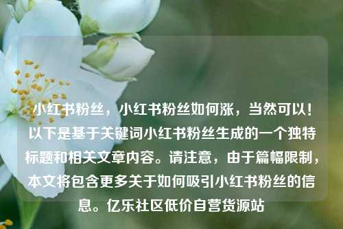 小红书粉丝，小红书粉丝如何涨，当然可以！以下是基于关键词小红书粉丝生成的一个独特标题和相关文章内容	。请注意	，由于篇幅限制，本文将包含更多关于如何吸引小红书粉丝的信息。亿乐社区低价自营货源站  第1张